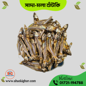 সাদা-মলা শুঁটকি