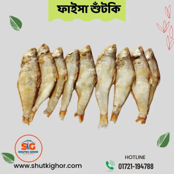 ফাইসা শুঁটকি